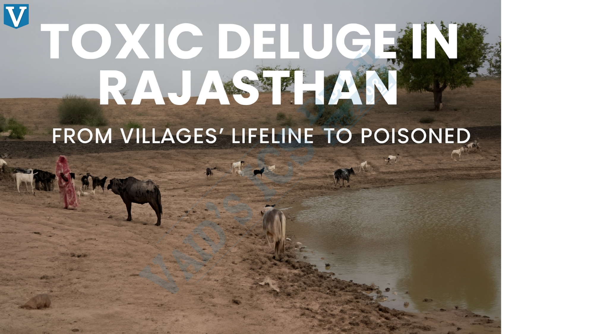 Toxic Deluge in Rajasthan: From Villages’ Lifeline to Poisoned